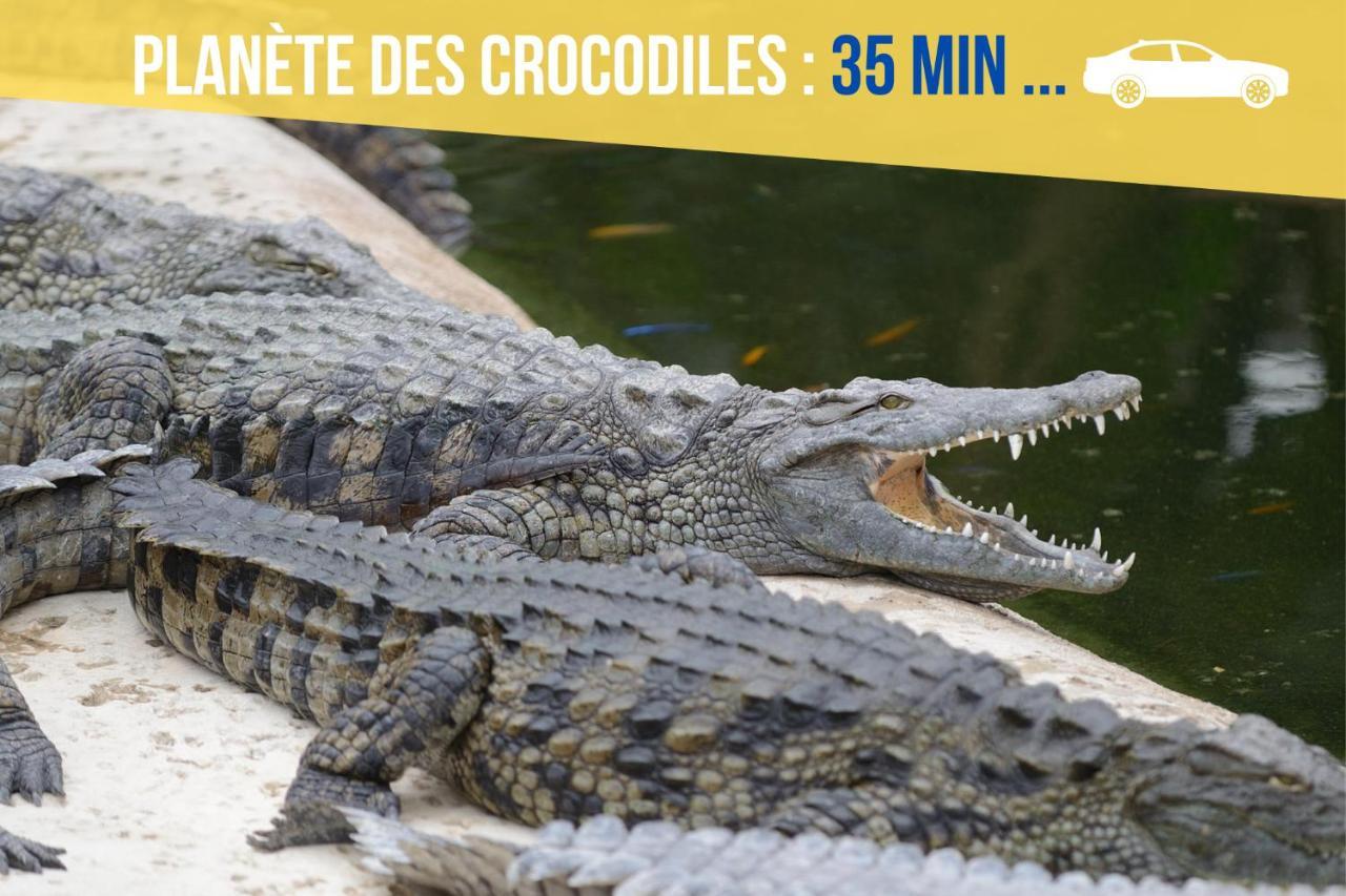 Beau-Jean, Un Cocon Sympa 5 Min A Pied Du Centre-Ville, Parking Prive, A 10 Min Du Chu Пуатьє Екстер'єр фото